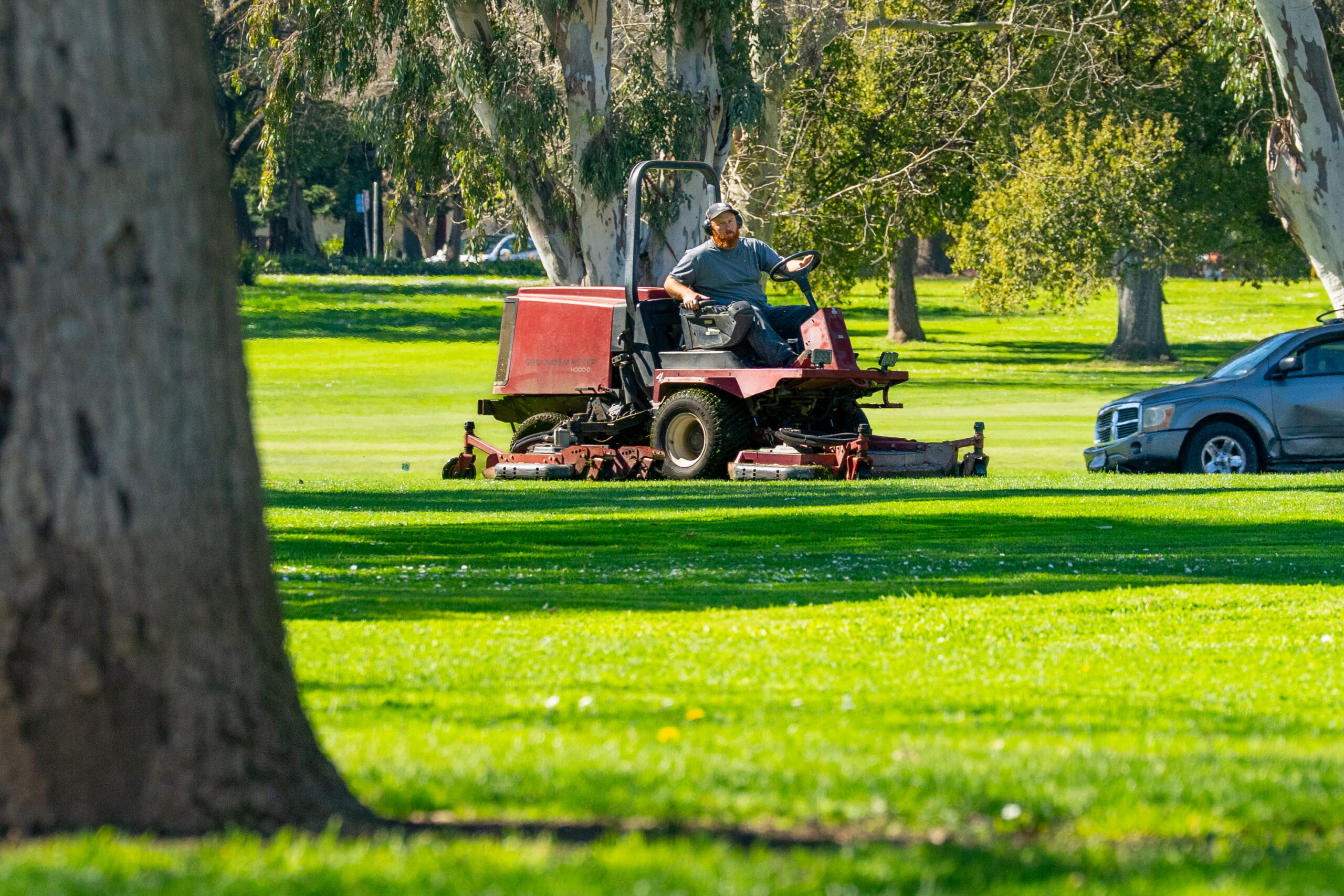 cutting grass