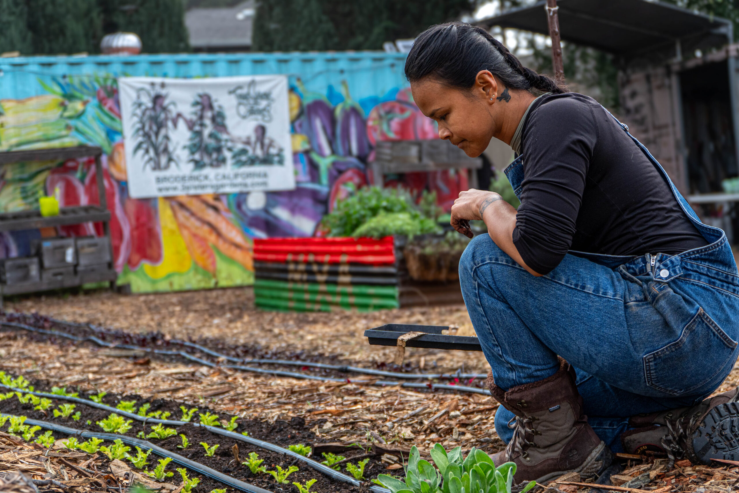 Woman looking at crops