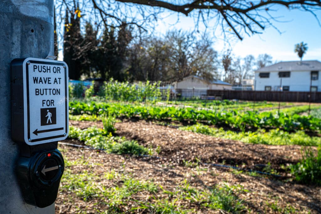 Urban farm