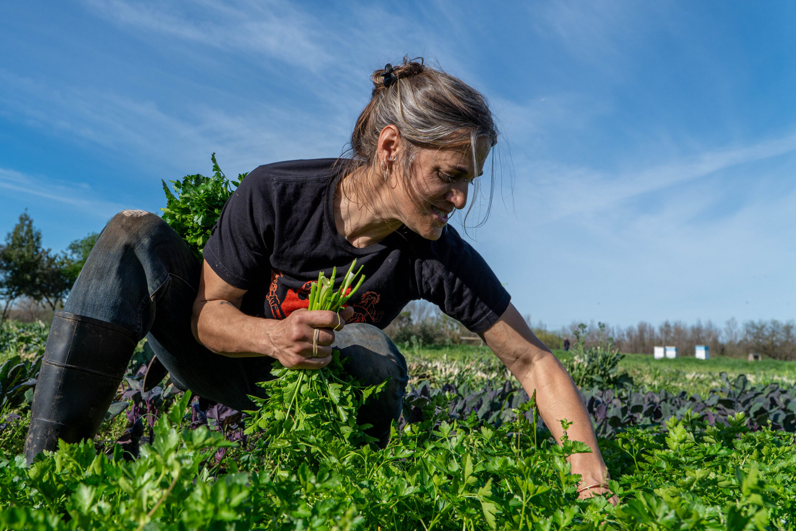 Woman harvesting food
