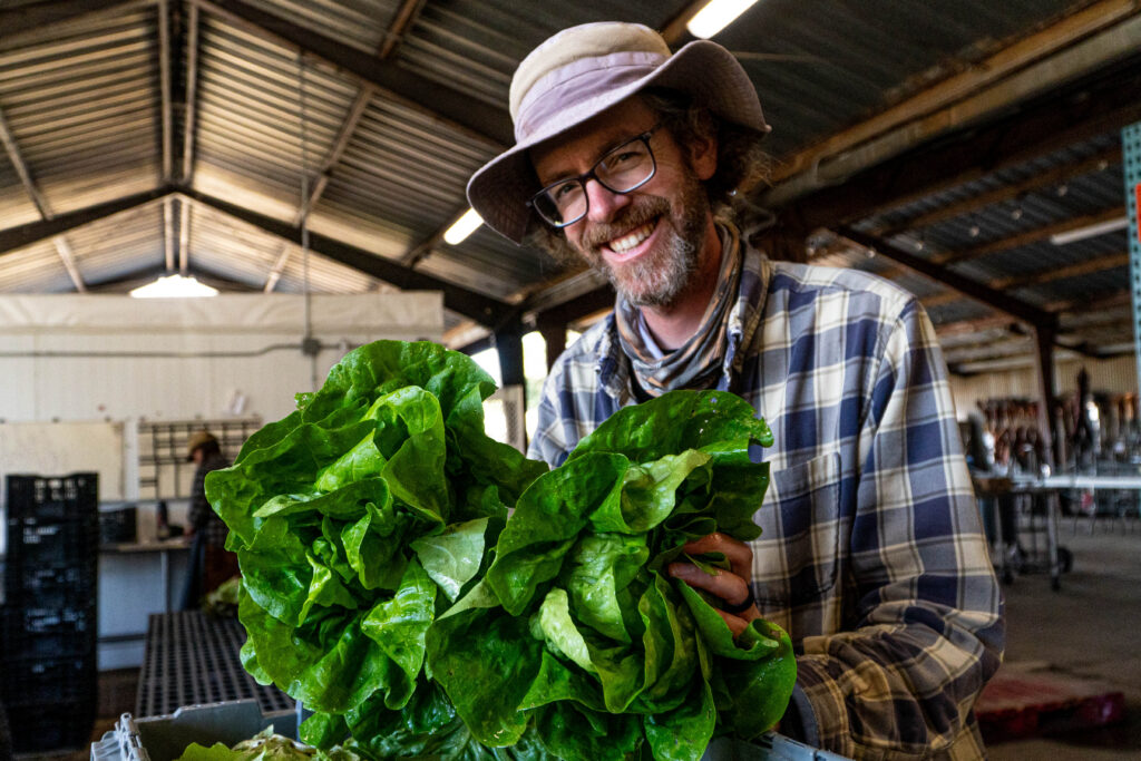 Man washing leafy greens 