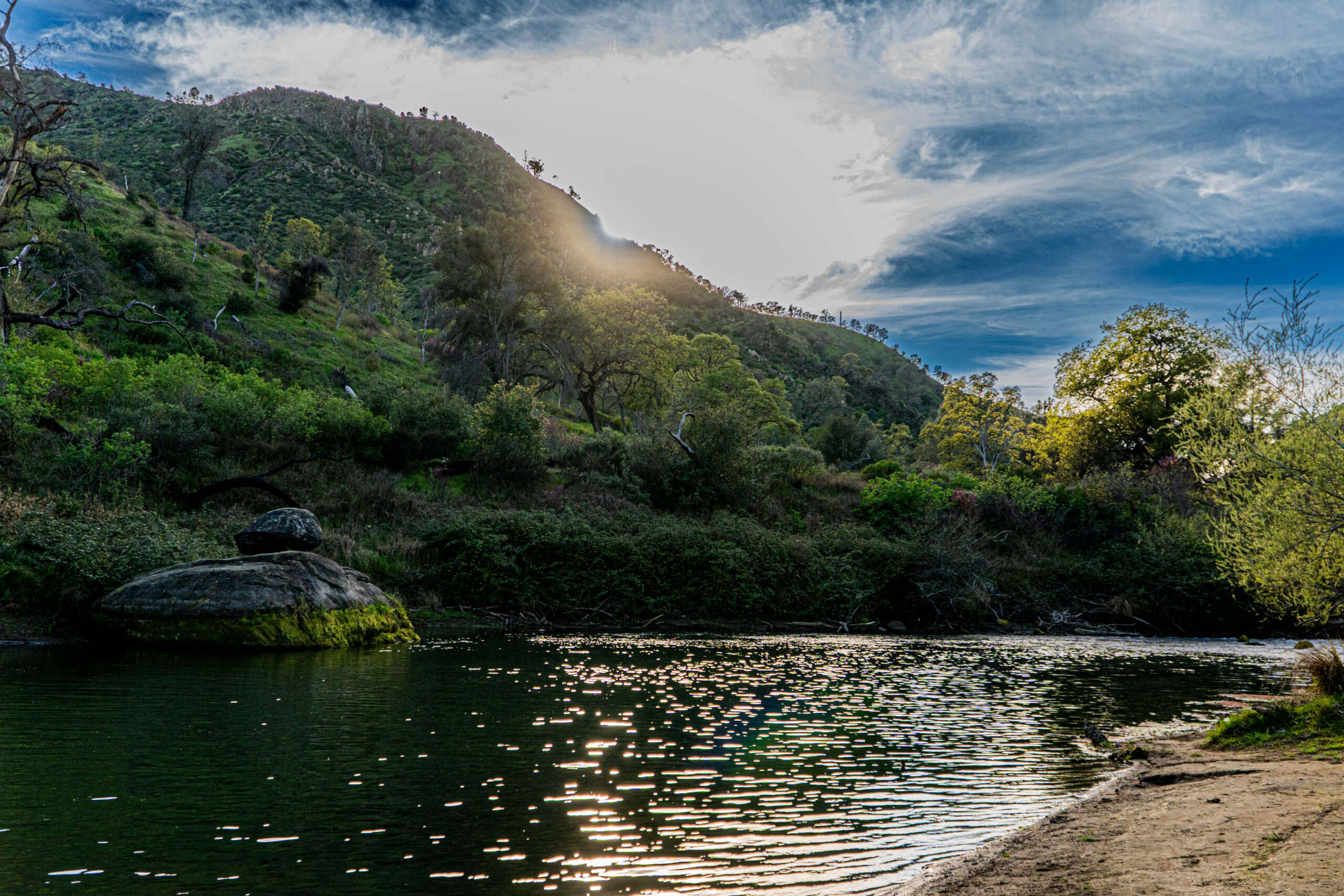 Putah Creek landscape