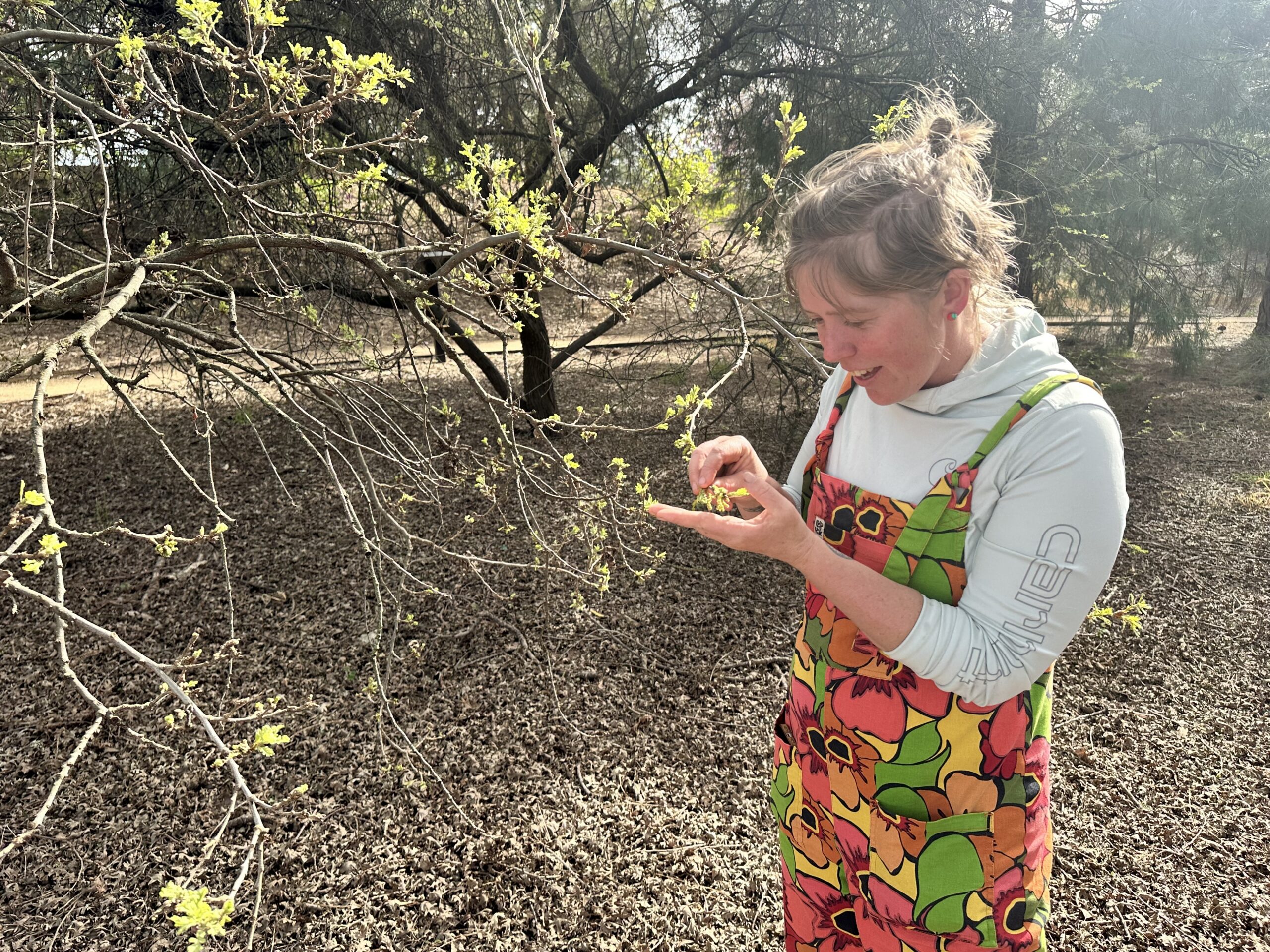 Woman looks at tree buds.