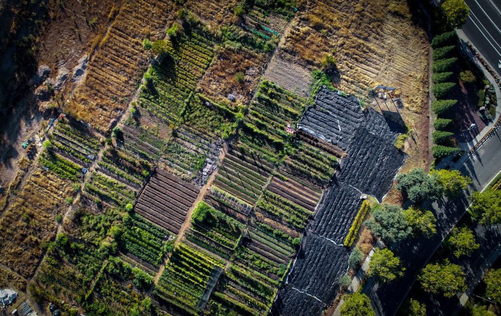 Urban farm