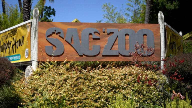 Sac Zoo