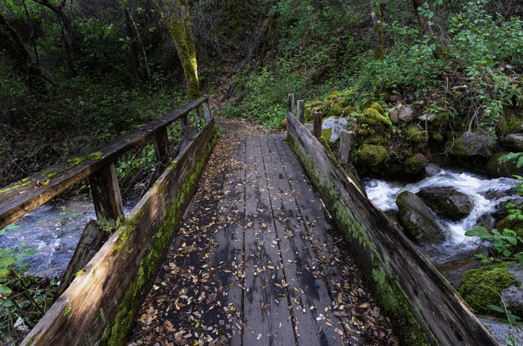 Bridge