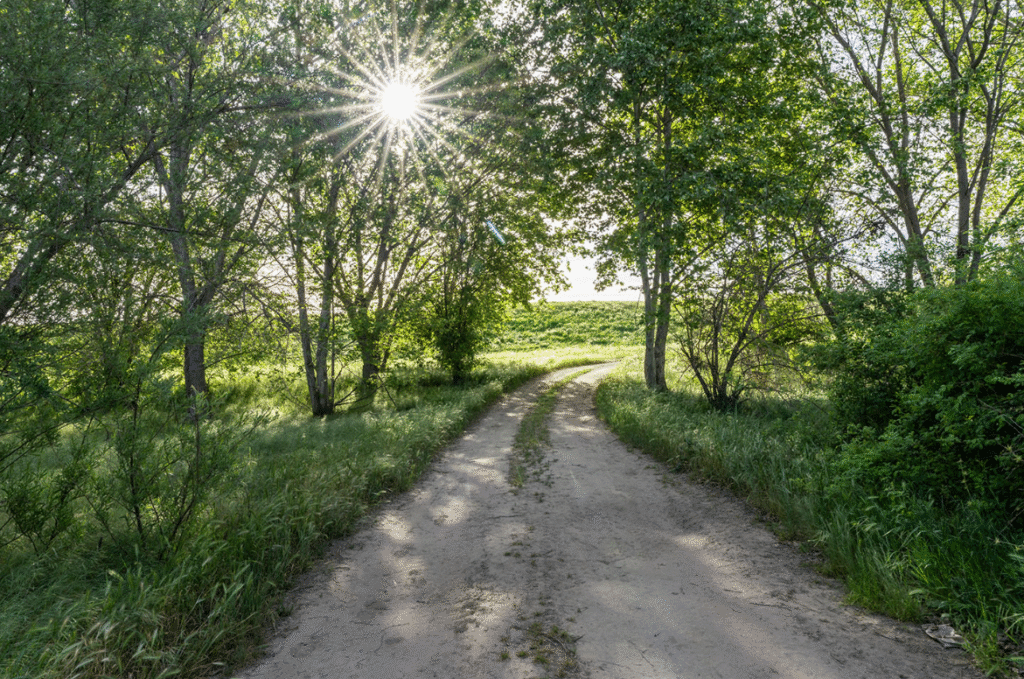 Trail