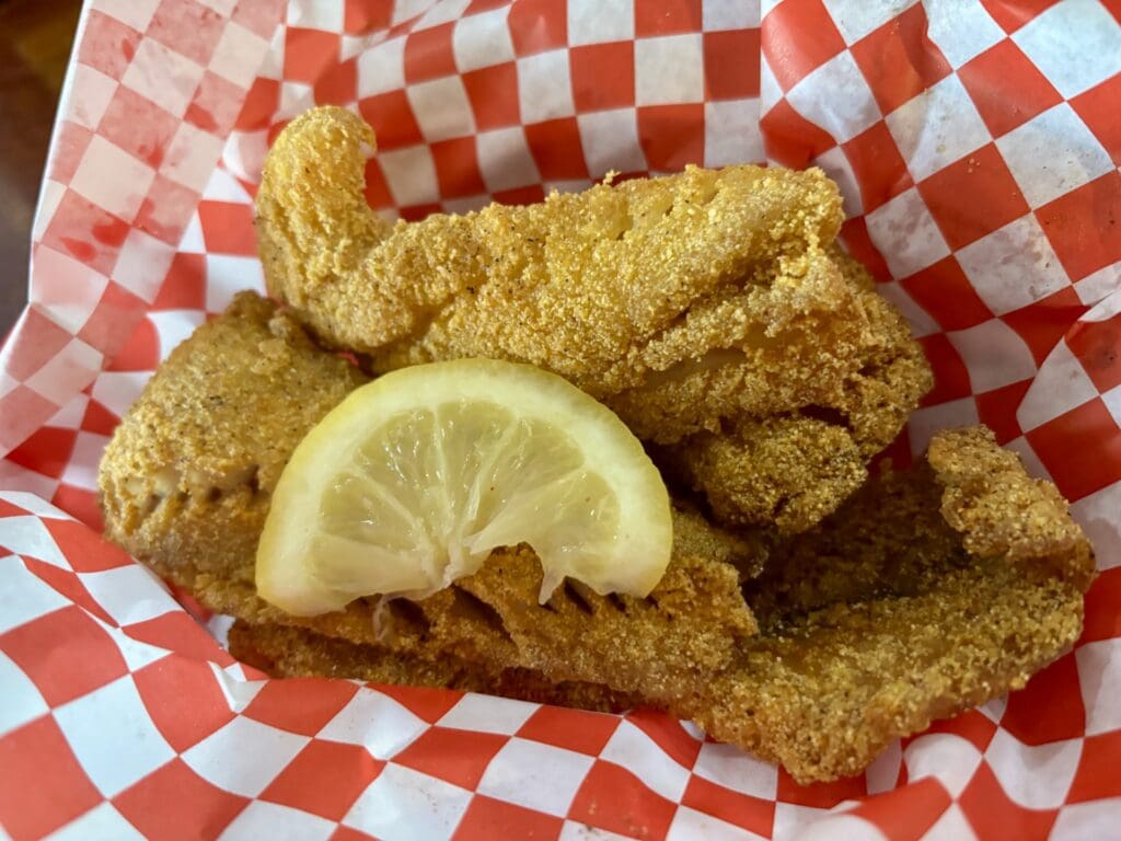 snapper