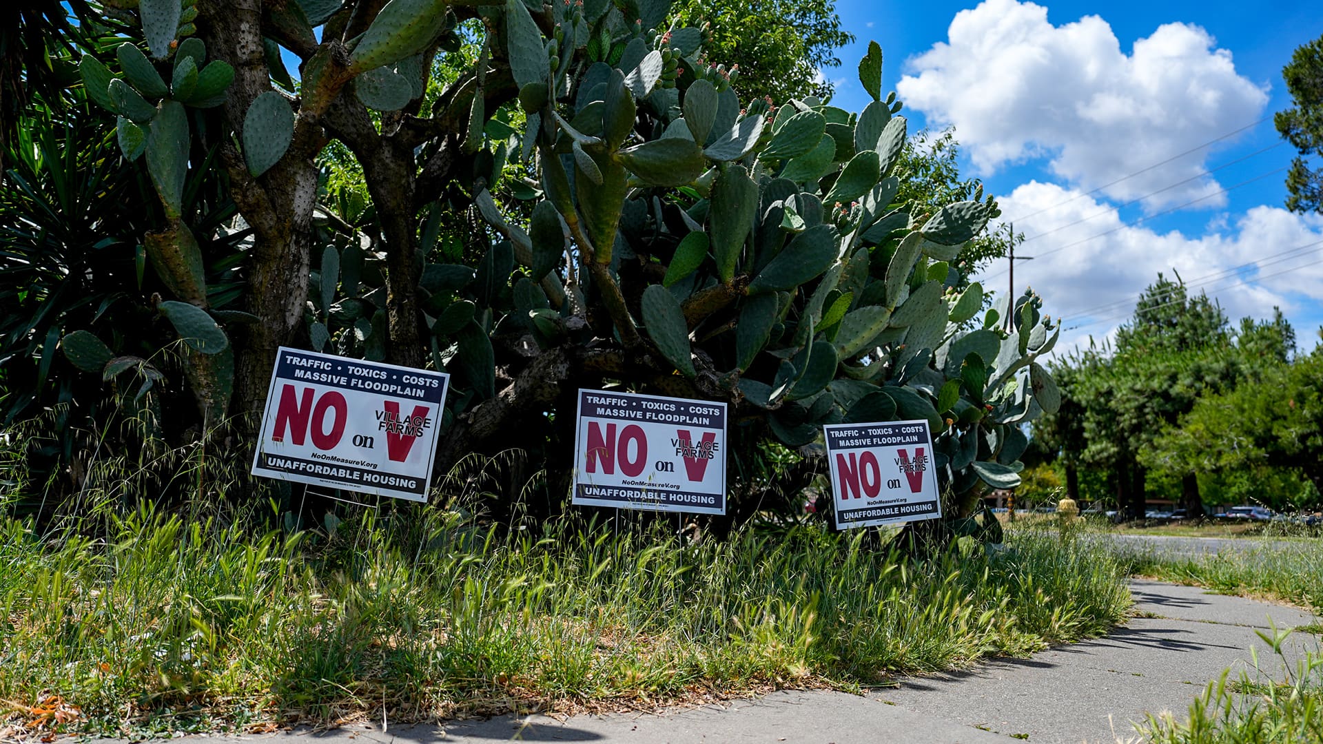 No on measure V signs in Davis on May 27, 2026. Photo by Denis Akbari.