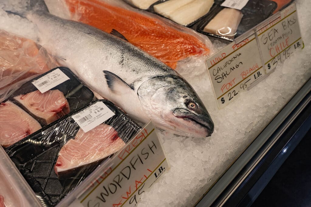 fish