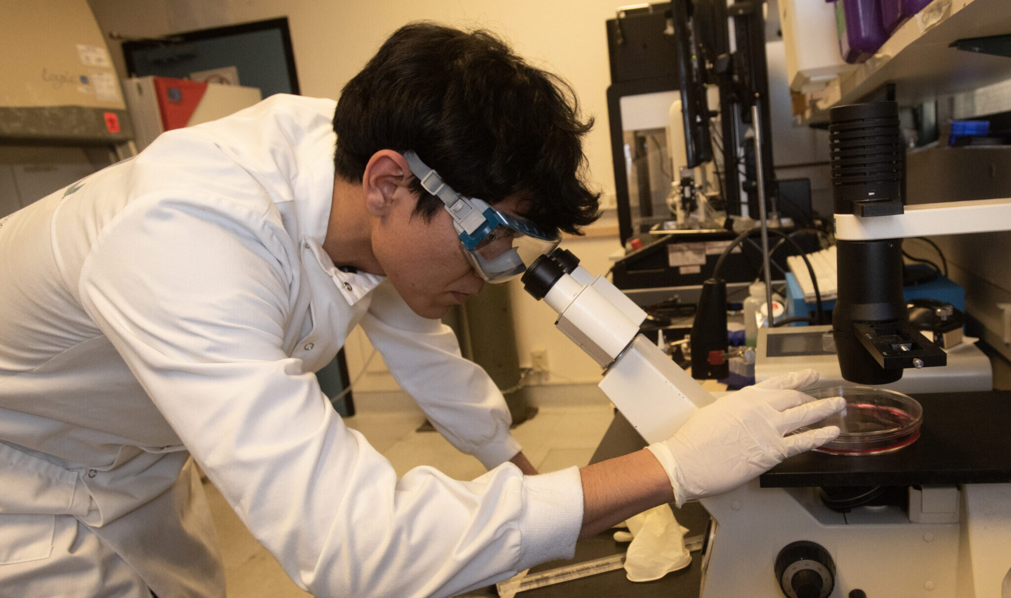 Man looks through microscope