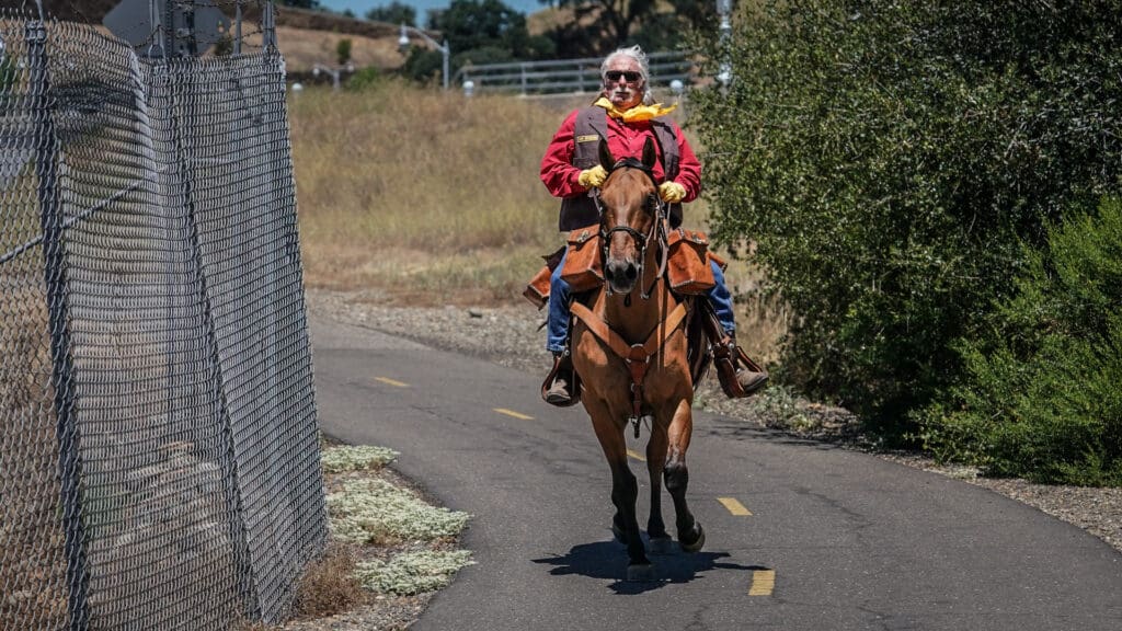 Man on horse