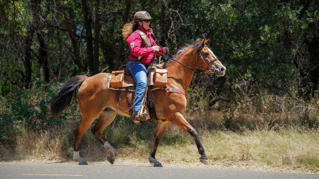 Woman on horse