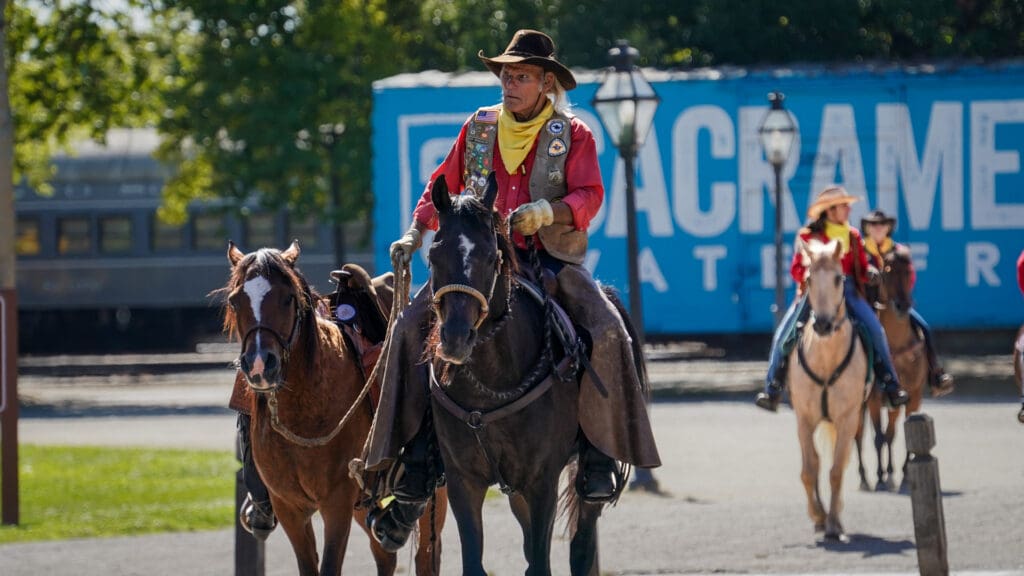 Horses