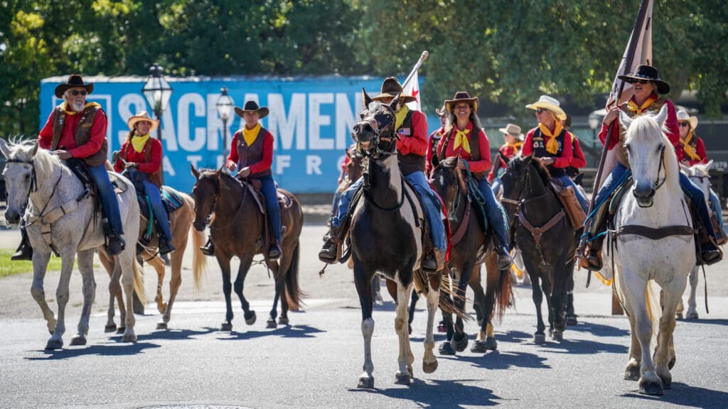 Horses