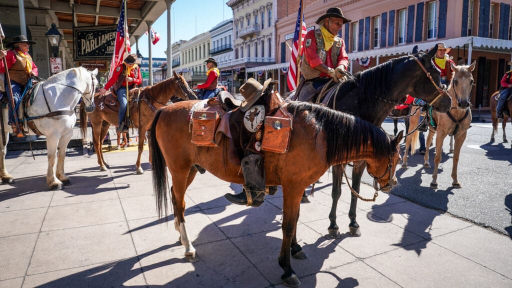 Horses