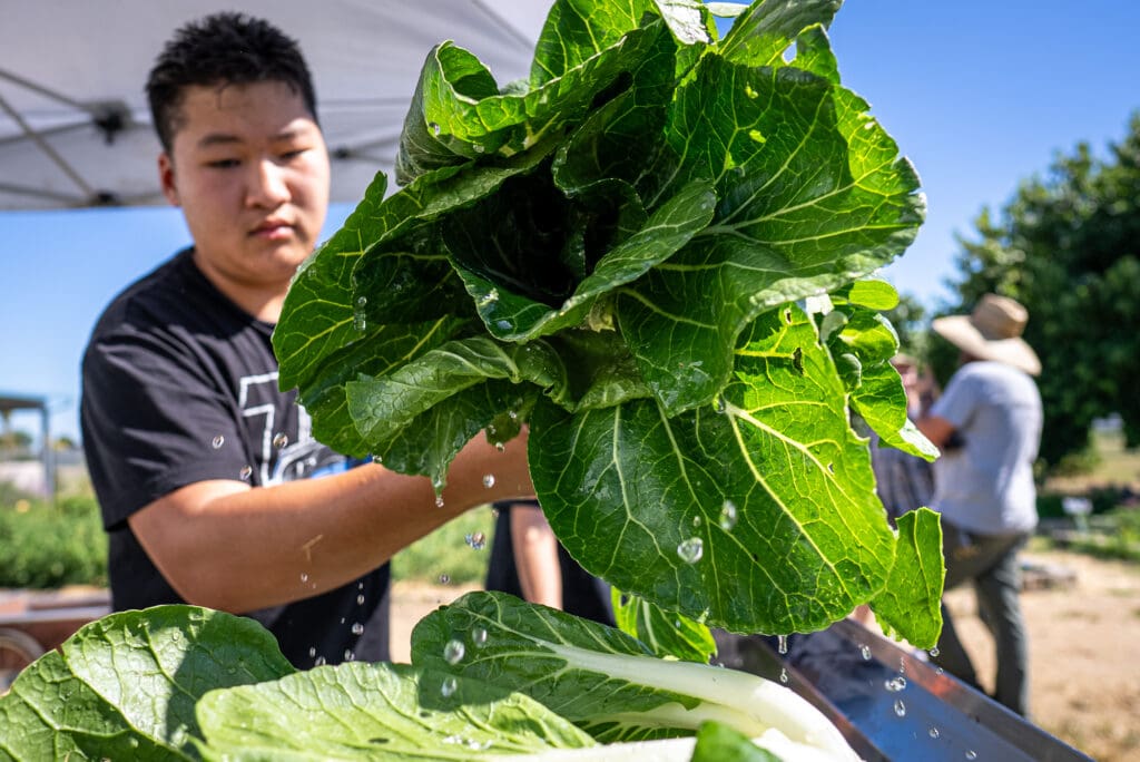 Student holding crop