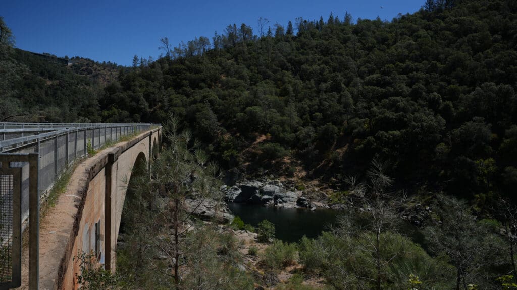 Bridge and trees