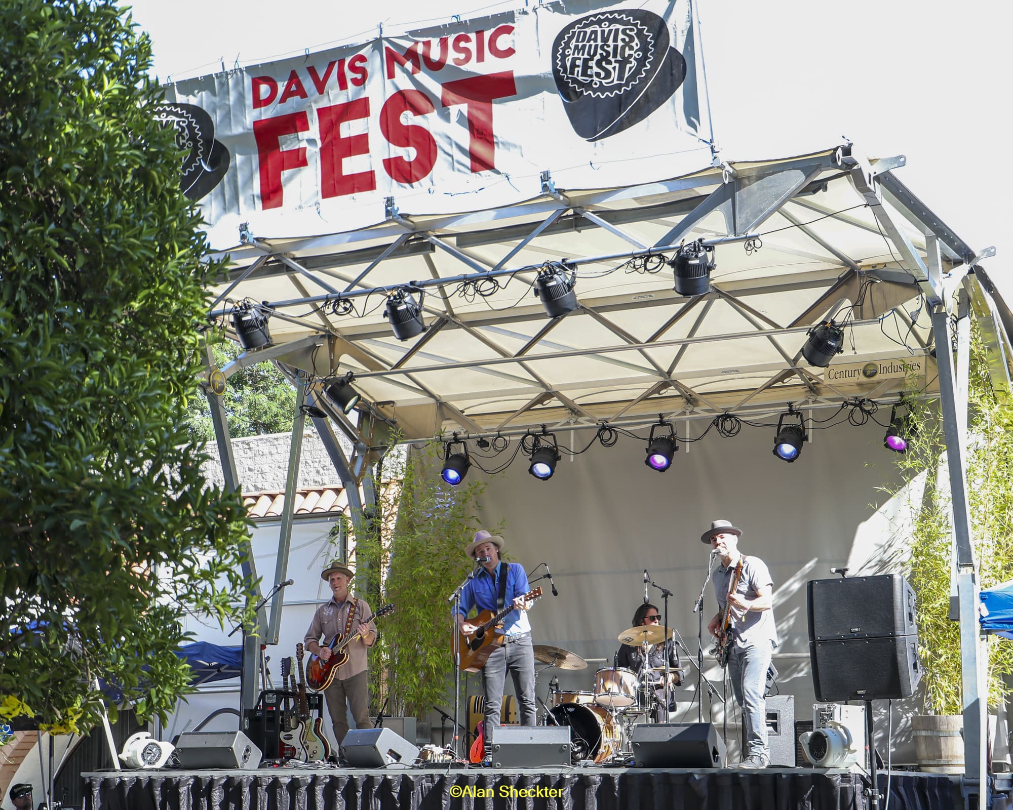 Davis Music Fest