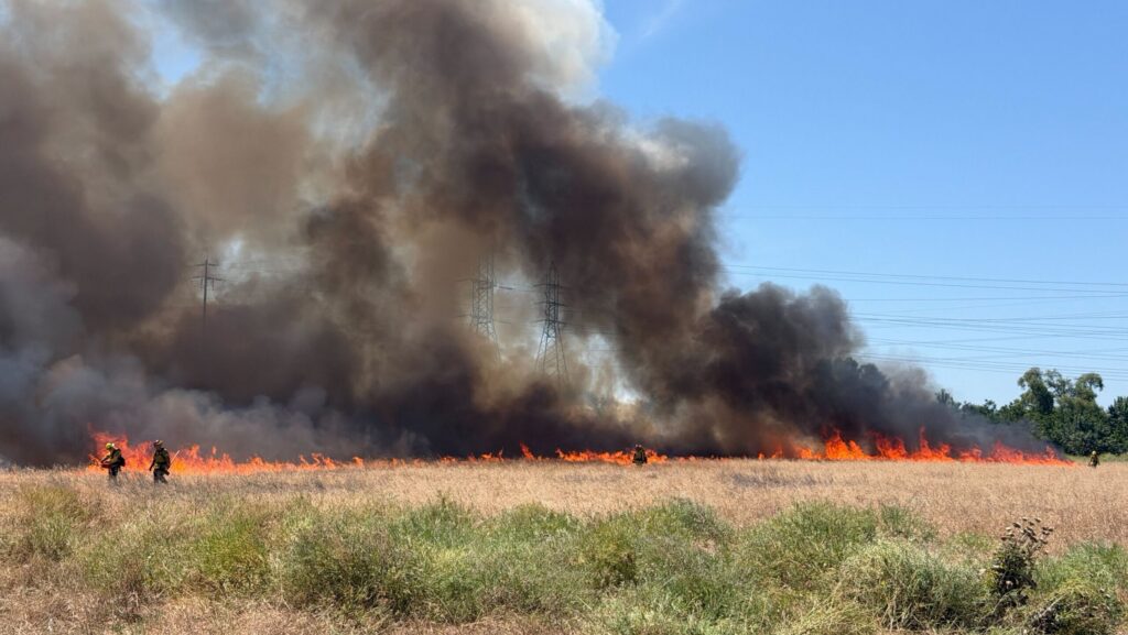 Controlled burn