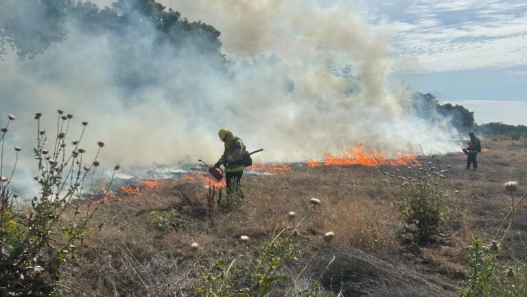 Controlled burn