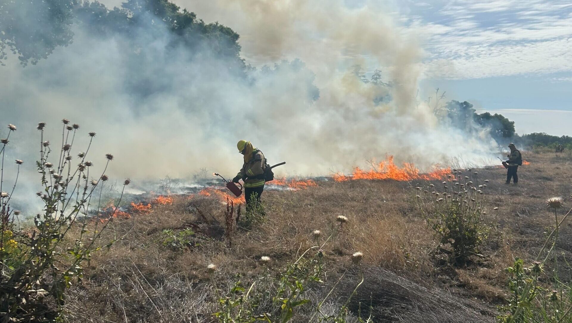 Controlled burn