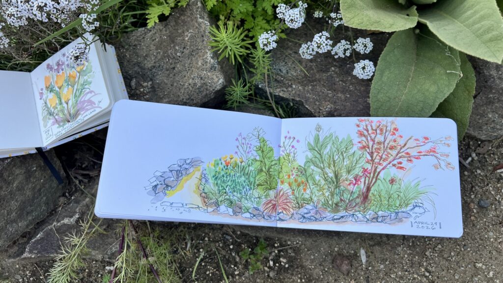 Urban Sketchers