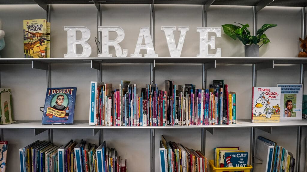 Library shelf