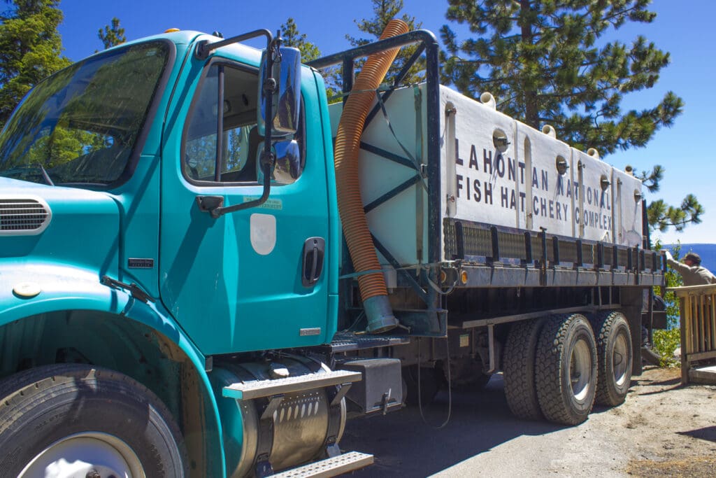 Fish truck