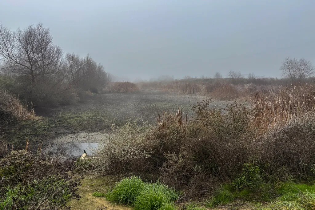 Wildlife refuge