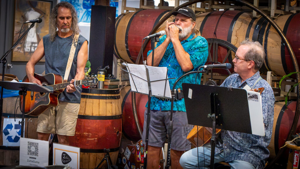 band playing in winery