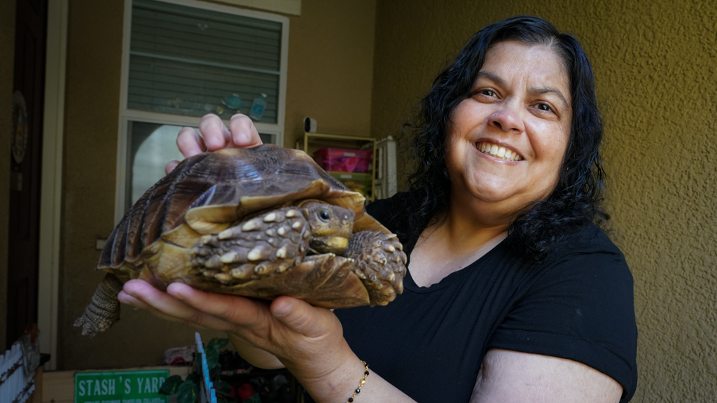 Woman and tortise