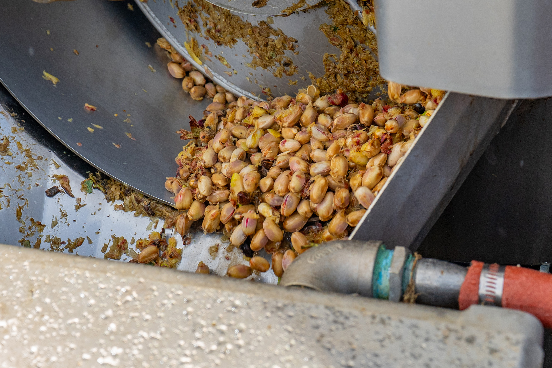 pistachios