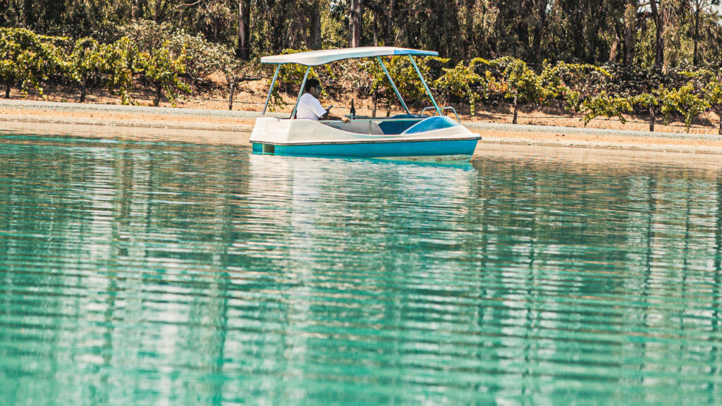 Pedal boat on a lake