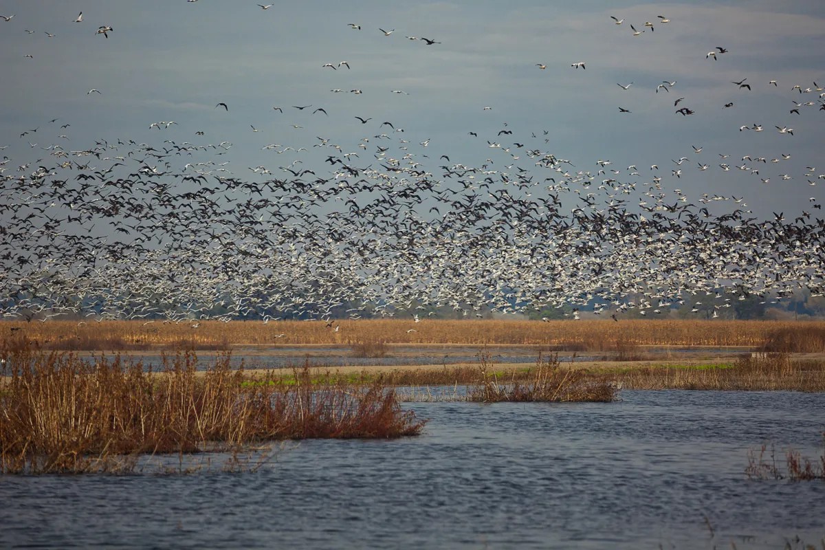 Wildlife Refuge