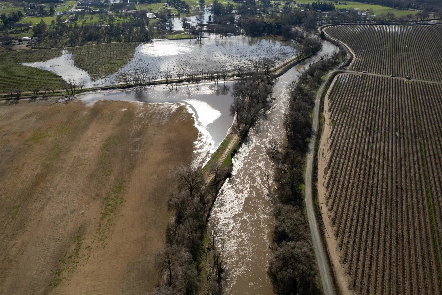 flooded field near river