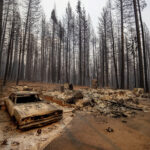 A burned car from a wildfire