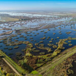Water in the Yolo Bypass