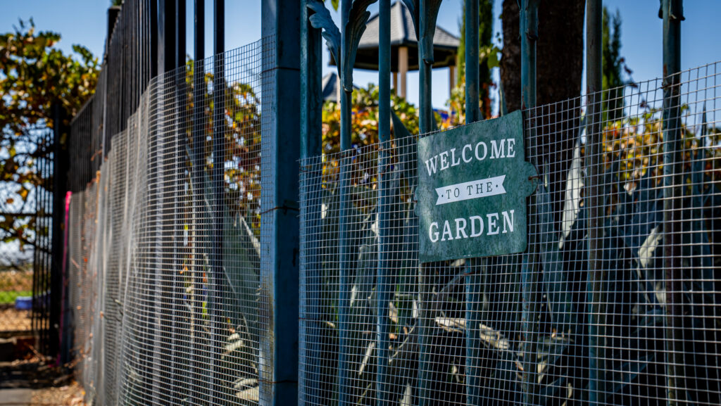 garden
