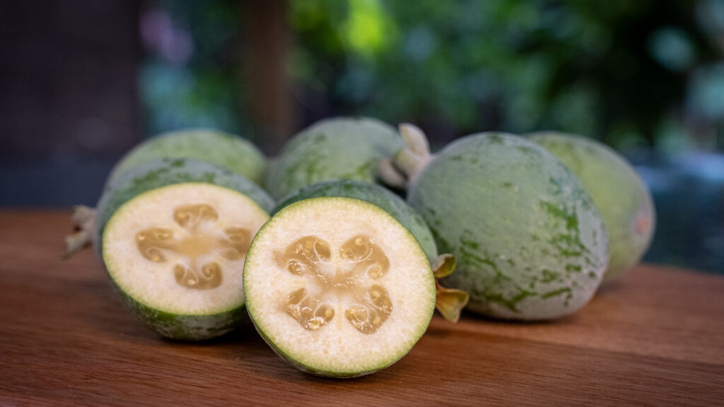 fruit