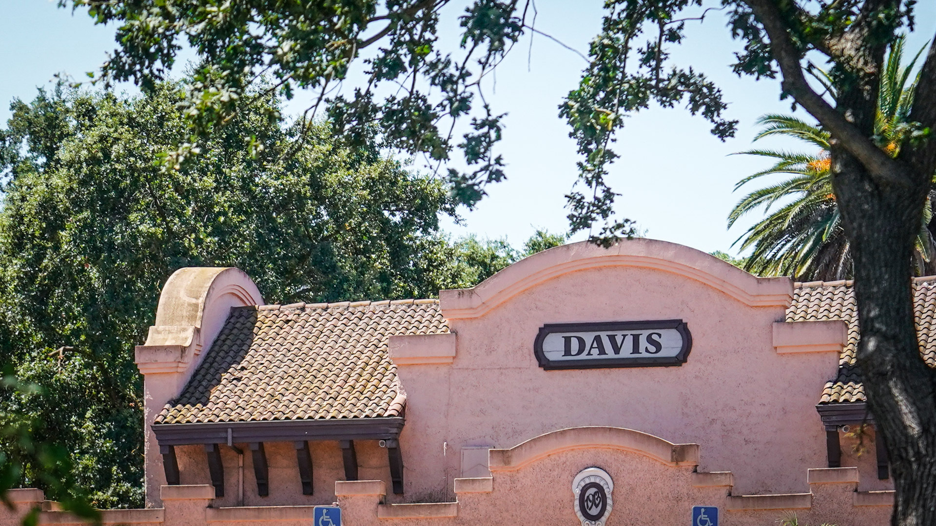 Trees behind a Davis sign