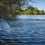 delta, river, breeze