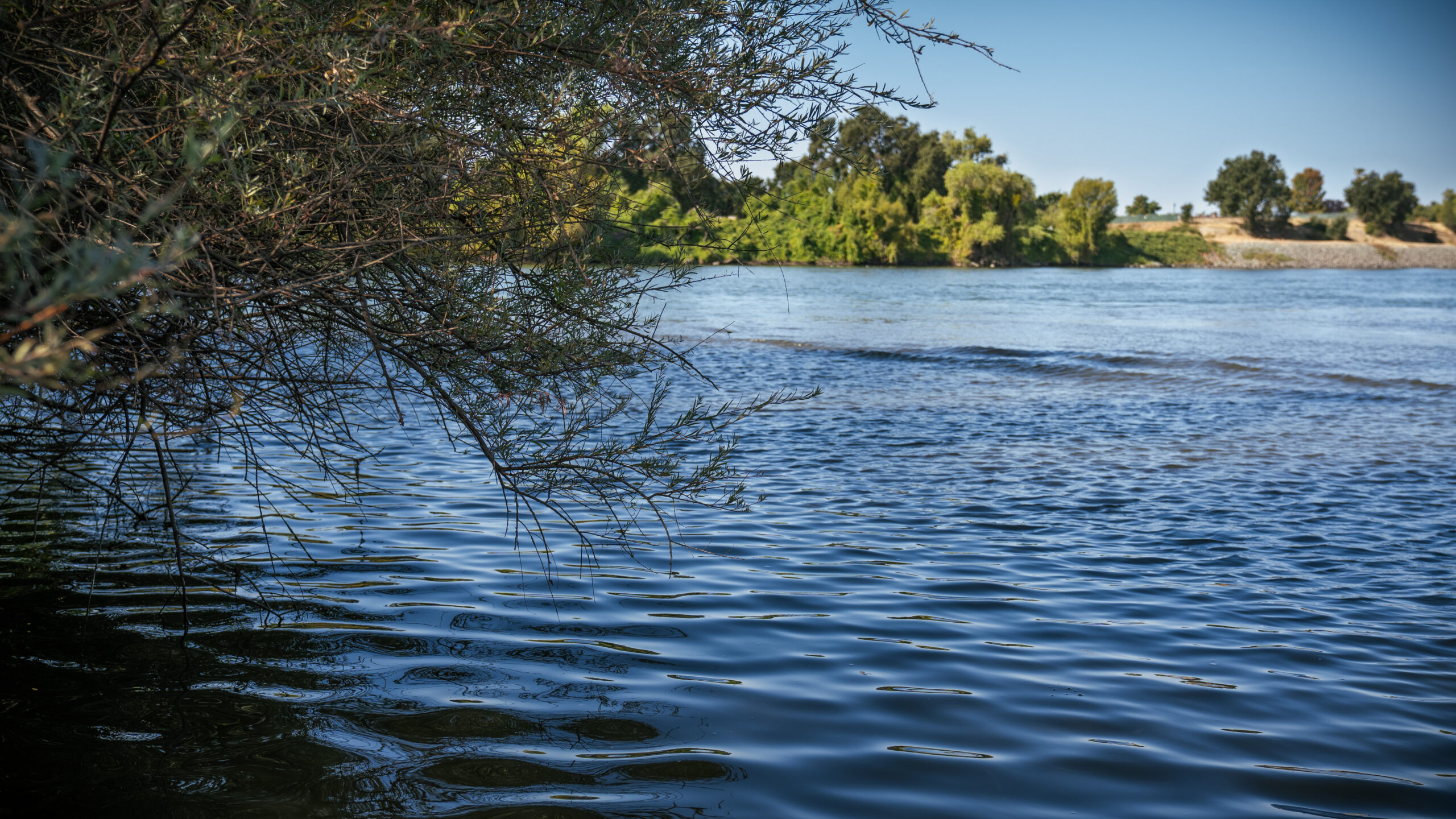 delta, river, breeze