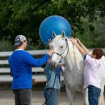 Kids pass a large ball over the top of a horse