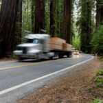 highway redwood trees truck