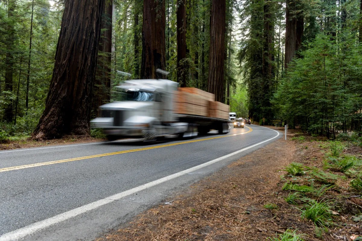 highway redwood trees truck