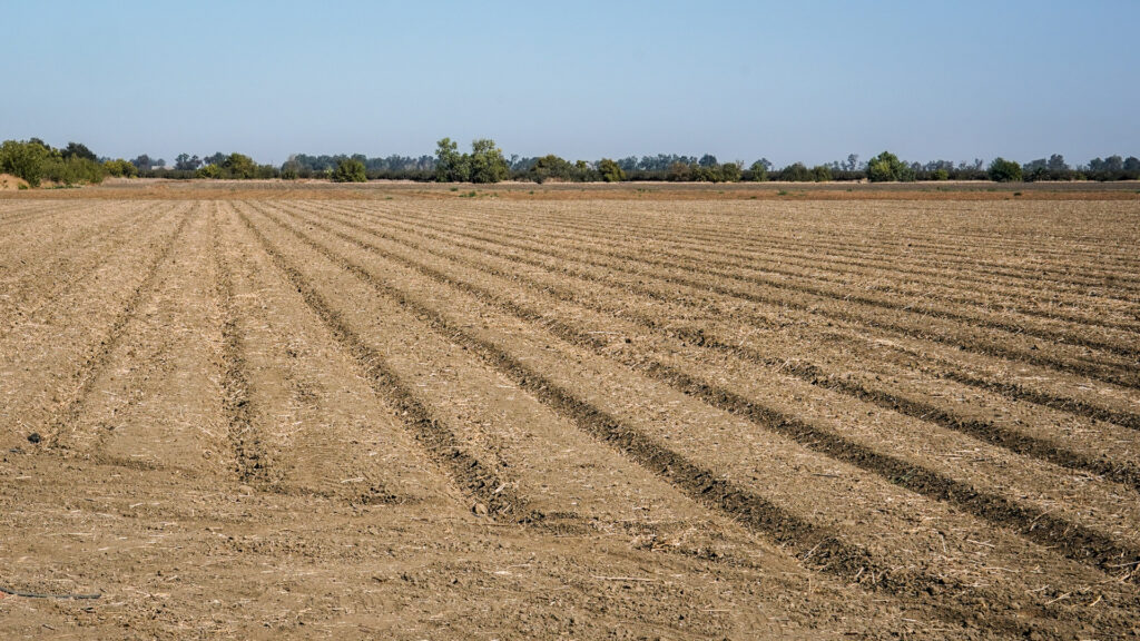 Field