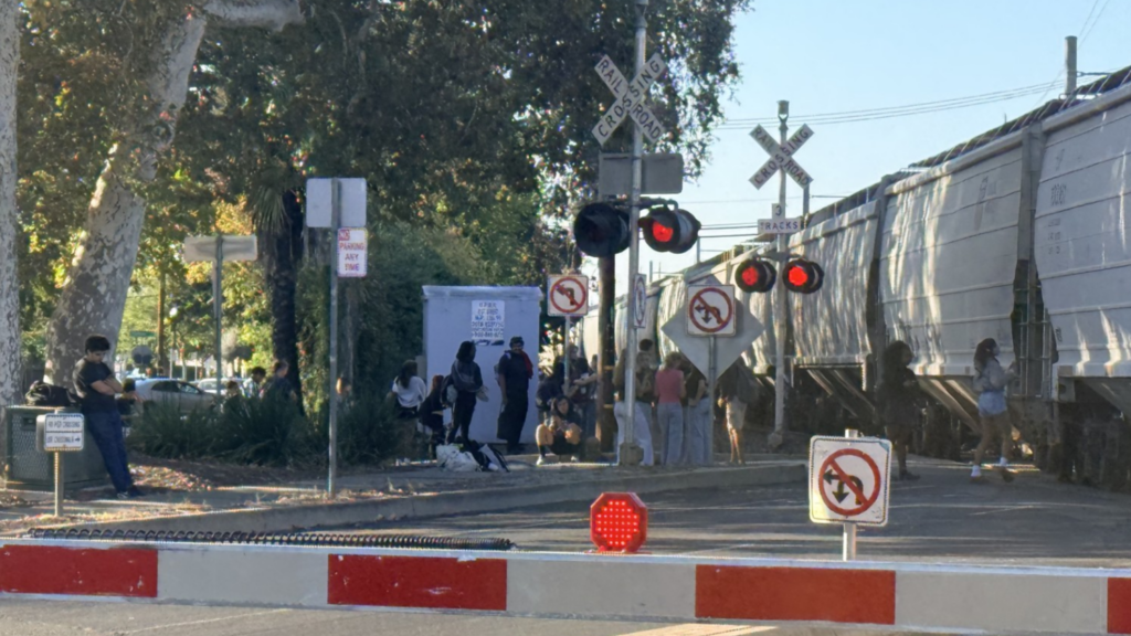 A train stopped on tracks